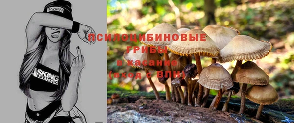 круглые Гусь-Хрустальный