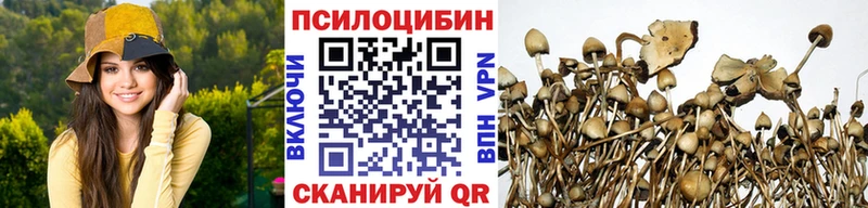 Псилоцибиновые грибы Cubensis Купить Ковдор